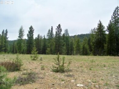 0 Sumpter Granite Hwy unit 12597144, Sumpter, OR 97877 - photo 3