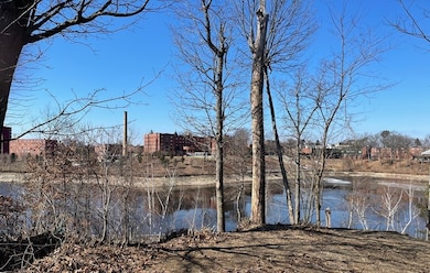 102 Arcadia Blvd, Springfield, MA 01118 - photo 2