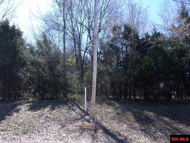 770-05063-000 8th St, Flippin, AR 72619 - photo 5