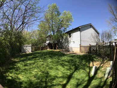 Backyard 2