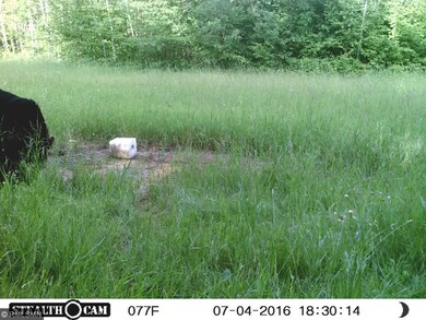 Yes, this Huge bear can also be found on the prope