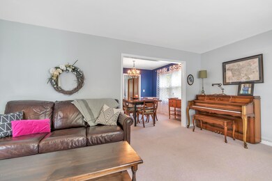 2201-Montego-Dr-WindowStill-Real-Estate-