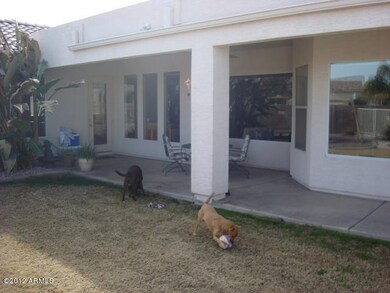 Backyard Covered Patio