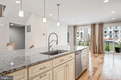 1302 White Feldspar Terrace SE, Leesburg, VA 20175 - photo 6