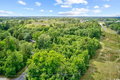 TBD Liz Ln, Conway, SC 29527 - photo 4