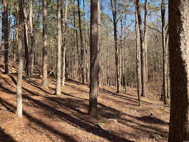 16 Hillside Trail, Mount Ida, AR 71957 - photo 7