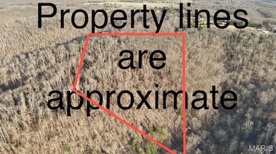 Tbd Creek, Dixon, MO 65459 - photo 4