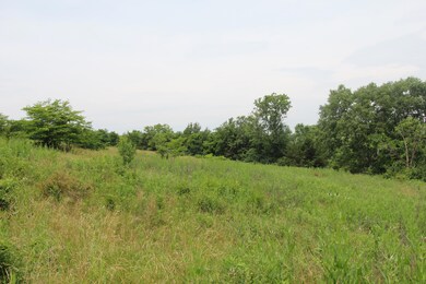 1 Mcafee Ln, Salvisa, KY 40372 - photo 3