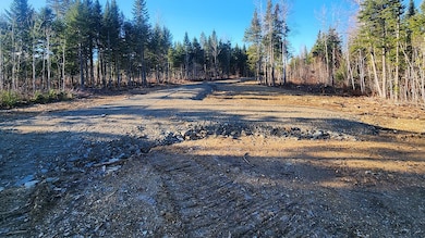 Crystal Rd, Crystal, ME 04747 - photo 4