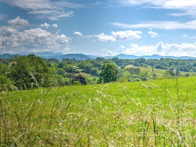 1076 Bear Creek Rd, Leicester, NC 28748 - photo 3