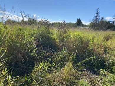 N3816 7th St, Weyerhaeuser, WI 54895 - photo 2