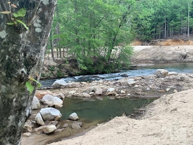 42.16 ACS Green River Cove Rd unit 42.162 AC., Saluda, NC 28726 - photo 6