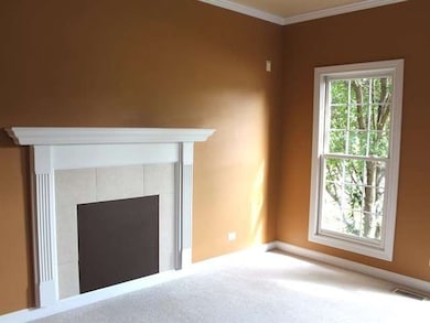 2223 Haider Ave, Naperville, IL 60564 - photo 2