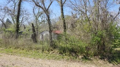 1675 County Road 310, Brazoria, TX 77422 - photo 5