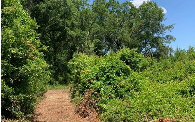 0 Cr-245 unit 111258, Lake City, FL 32061 - photo 3