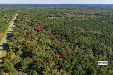 TBD Hwy 49 unit CR 3422, Jefferson, TX 75657 - photo 4