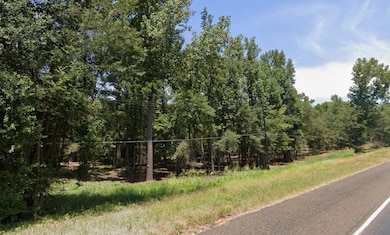 23251 US Highway 271, Gladewater, TX 75647 - photo 2