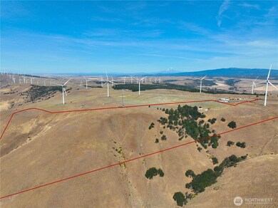 1 Hoctor Rd, Goldendale, WA 98620 - photo 4