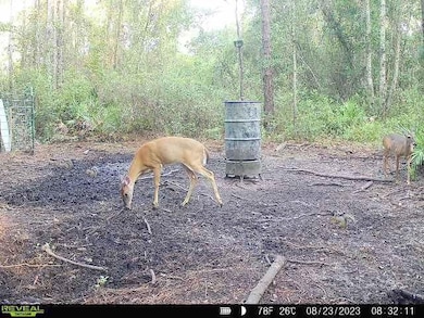 0 County Line Rd unit 18882882, Lee, FL 32059 - photo 2