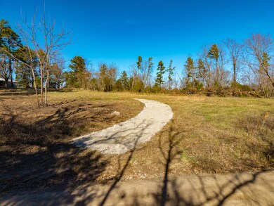 Lot E Malberg Rd, Cabool, MO 65689 - photo 5