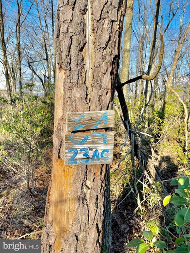 LOT 64 Laurel Run, Mathias, WV 26812 - photo 6