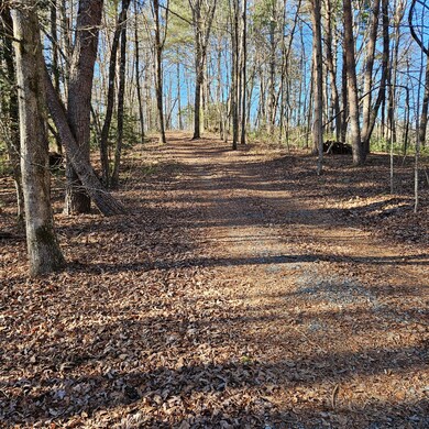 976 Dover Falls Trail, Ellijay, GA 30540 - photo 3