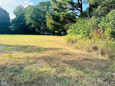 300 McDonial, Tuckerman, AR 72473 - photo 2