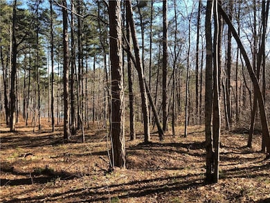 Lot 44 Glassy Water Way, West Union, SC 29696 - photo 6