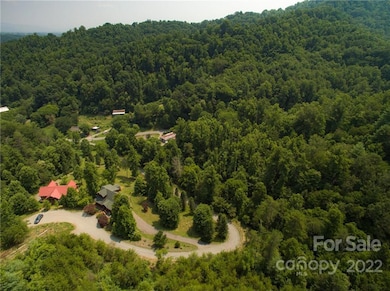 113 Chardonnay Ave unit 10, Marshall, NC 28753 - photo 6