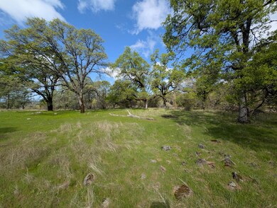 14677 Begonia Way, Oregon House, CA 95962 - photo 4