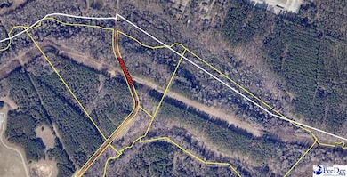 TBD Pisgah Rd, Florence, SC 29501 - photo 2