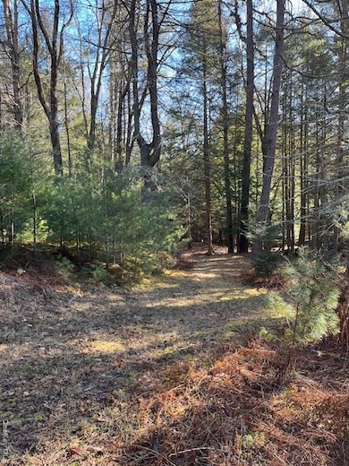 198 W Starlight Dr, Smallwood, NY 12778 - photo 3