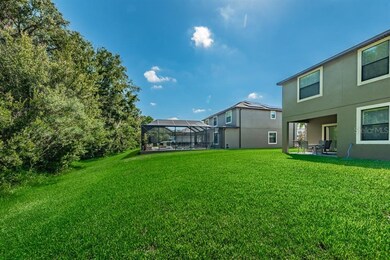 Beautiful backyard!