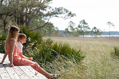 158 Lightning Bug Ln, Saint Teresa, FL 32358 - photo 3