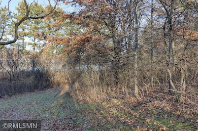 1539 101st Ave, Garfield Township, WI 54001 - photo 4