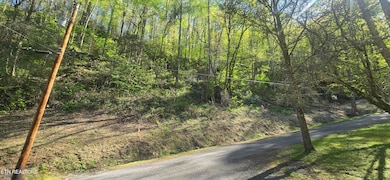 lot38pic5