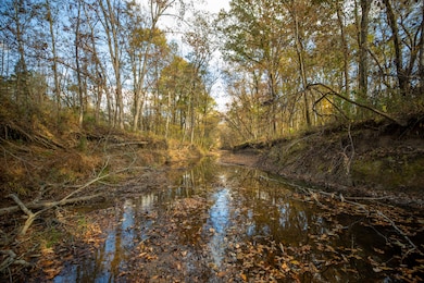 0 Mississippi 389, Pheba, MS 39755 - photo 6