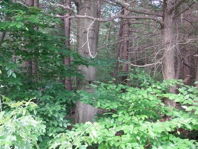 0 Huntoon Hwy unit 71850881, Leicester, MA 01524 - photo 3