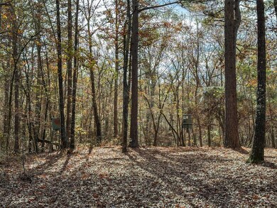 00 Cr 2235, Bagwell, TX 75412 - photo 7