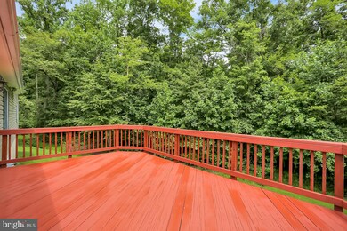 40 Hackleys Mill Rd, Amissville, VA 20106 - photo 5