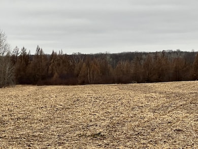 0000 Wildwood Rd, Brook Park, MN 55007 - photo 4