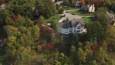 Treed privacy on the hillside (slopes away from ho