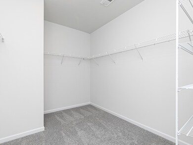 Large walk-in master closet