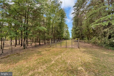 3513 Ensors Shop Rd, Midland, VA 22728 - photo 6