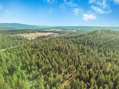 XXX N Waldrons Ln, Chattaroy, WA 99003 - photo 4