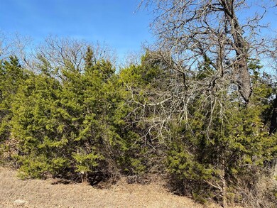 18041 Southhill Dr, Whitney, TX 76692 - photo 2