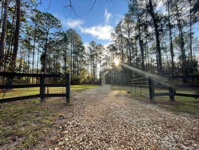200 Mimosa Ln, Cairo, GA 39827 - photo 7