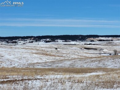19215 Mariah Trail, Black Forest, CO 80908 - photo 4