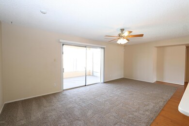 446 E Carter Dr, Tempe, AZ 85282 - photo 3