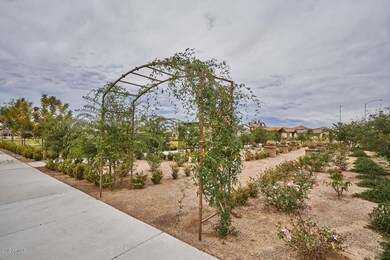 Copper Crest-Rose Garden